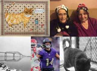 2024 Collection of Baltimore Fishbowl Columns and Essays 2024-collection-of-baltimore-fishbowl-columns-and-essays