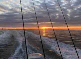 Maryland Fishing Report: December 19, 2024 – Southern Maryland Update maryland-fishing-report-december-19-2024-southern-maryland-update