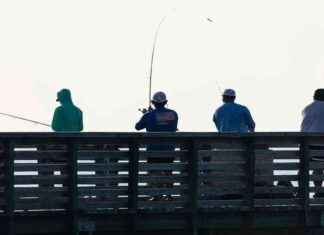 2025 Target for New Chesapeake Bay Recreation Area – Southern Maryland News 2025-target-for-new-chesapeake-bay-recreation-area-southern-maryland-news