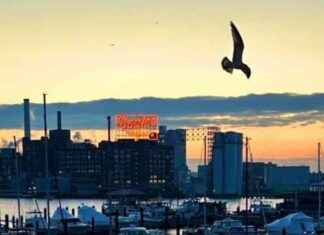 Businesses in Fells Point Baltimore: An Overview of Recent Closures businesses-in-fells-point-baltimore-an-overview-of-recent-closures