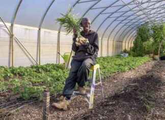 Celebrating 150 Episodes: Maryland Farm & Harvest Premieres in February celebrating-150-episodes-maryland-farm-harvest-premieres-in-february