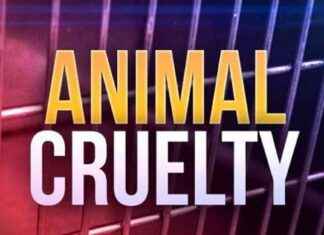 Charlotte Hall Residents Charged with Animal Cruelty – Southern Maryland News charlotte-hall-residents-charged-with-animal-cruelty-southern-maryland-news