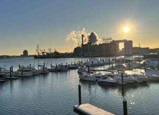 Dali the Dolphin Returns to Sea After 10 Months: Baltimore Fishbowl dali-the-dolphin-returns-to-sea-after-10-months-baltimore-fishbowl