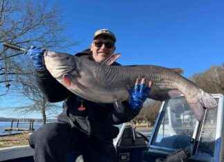 Economic Potential of Blue Catfish Farming in Southern Maryland: New Reports – Southern MD Chronicle economic-potential-of-blue-catfish-farming-in-southern-maryland-new-reports-southern-md-chronicle