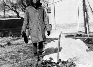 Exploring the Scenic Beauty of January River in 80-100 characters exploring-the-scenic-beauty-of-january-river-in-80-100-characters