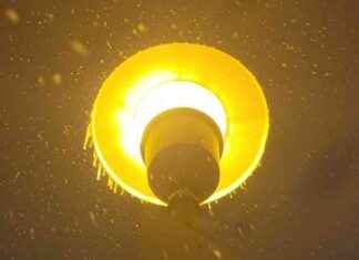 Extreme Cold Alert: Baltimore Forecast until Thursday extreme-cold-alert-baltimore-forecast-until-thursday