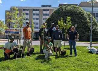 Maryland Achieves 1 Million Trees Milestone in 5 Million Initiative – Southern Maryland News maryland-achieves-1-million-trees-milestone-in-5-million-nitiative-southern-maryland-news