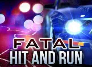 Investigation Underway for Fatal Hit-and-Run on Smallwood Drive West nvestigation-underway-for-fatal-hit-and-run-on-smallwood-drive-west