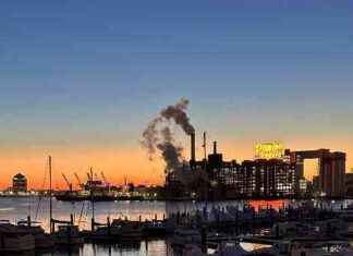 Rare Orioles Baseball Card Acquired by Actress Emma Roberts | Baltimore Fishbowl rare-orioles-baseball-card-acquired-by-actress-emma-roberts-baltimore-fishbowl