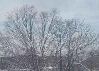 The Great Baltimore Storm Debate: Should Parking-Space Chairs be Honored? the-great-baltimore-storm-debate-should-parking-space-chairs-be-honored