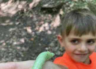 Outdoor Adventure Summer Camps in Baltimore: Your Ultimate Guide outdoor-adventure-summer-camps-in-baltimore-your-ultimate-guide