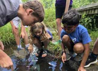 Irvine’s Summer Nature Camp in Baltimore: Program Profile rvines-summer-nature-camp-in-baltimore-program-profile