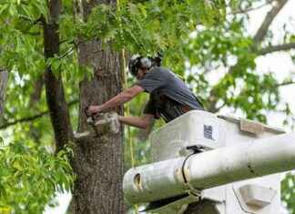 HG Trueman Road Closure for Infrastructure Project – Southern Maryland News hg-trueman-road-closure-for-nfrastructure-project-southern-maryland-news