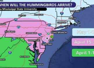 Maryland Spring Forecast: Hummingbirds Arrival Mid-April maryland-spring-forecast-hummingbirds-arrival-mid-april
