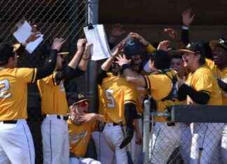 Undefeated Hawks Baseball Dominates Region 20 Standings undefeated-hawks-baseball-dominates-region-20-standings