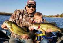 Genetic Study Reveals Division in Largemouth Bass Population genetic-study-reveals-division-in-largemouth-bass-population