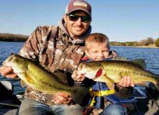 Genetic Study Reveals Division in Largemouth Bass Population genetic-study-reveals-division-in-largemouth-bass-population