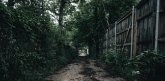 John Carpenter’s Suburban Screams: Unveiling Horror’s Dark Secrets