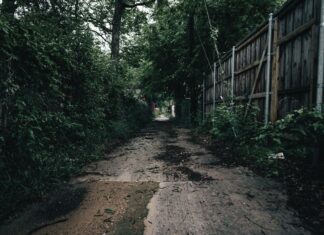 John Carpenter’s Suburban Screams: Unveiling Horror’s Dark Secrets