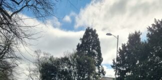 Suburban Cadillac Of Plymouth: Discover Luxury Deals You Can’t Miss