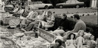 Suburban Collection Showplace Novi: Discover Exciting Events Near You