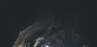 Stuck In The Suburbs? Discover Hidden Gems And Escape Tips