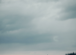 Chevrolet Tahoe Vs Suburban: Which SUV Dominates Your Adventure?