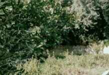 2016 Chevrolet Suburban LTZ Curb Weight: What Makes It Stand Out?