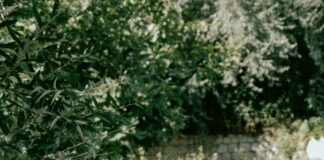 2016 Chevrolet Suburban LTZ Curb Weight: What Makes It Stand Out?