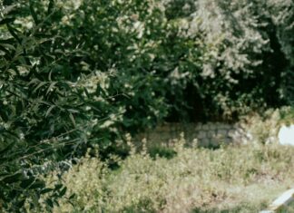 2016 Chevrolet Suburban LTZ Curb Weight: What Makes It Stand Out?