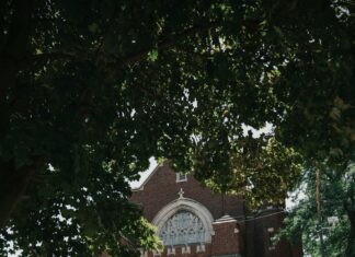 Craigslist Chicago Suburbs Cars For Sale By Owner: Secrets Revealed