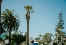 San Diego Suburb That Means Hidden: Discover Its Secret Charm