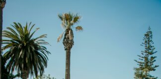 San Diego Suburb That Means Hidden: Discover Its Secret Charm