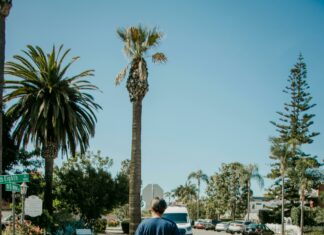 San Diego Suburb That Means Hidden: Discover Its Secret Charm