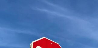 Things To Do In Chicago Suburbs This Weekend: Must-See Events