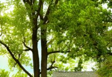 Millard Fillmore Suburban Hospital MyChart: Unlock Powerful Benefits