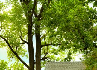 Millard Fillmore Suburban Hospital MyChart: Unlock Powerful Benefits