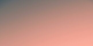 New York New York Suburbs: Discover Hidden Gems and Lifestyle Benefits