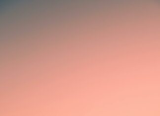 New York New York Suburbs: Discover Hidden Gems and Lifestyle Benefits