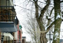 Suburban Ice Macomb Macomb MI: Discover The Ultimate Skating Experience