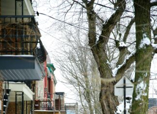 Suburban Ice Macomb Macomb MI: Discover The Ultimate Skating Experience