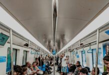 West Suburban Humane Society: Discover How You Can Make Impact