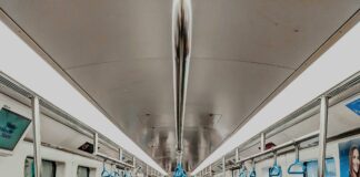 West Suburban Humane Society: Discover How You Can Make Impact