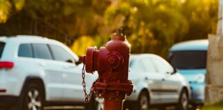 North Suburban Library District Secrets: Unlock Hidden Resources Today