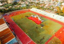 South Suburban Humane Society In Chicago Heights: Why Visit Now?