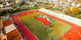 South Suburban Humane Society Adoption: How To Find Your Perfect Pet