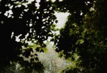 Suburban Studios Tysons Corner: Discover Hidden Creative Gems Today