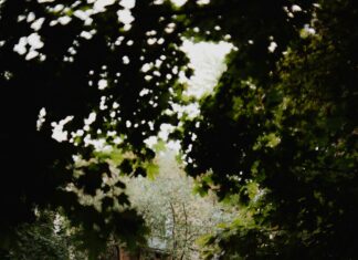 Suburban Studios Tysons Corner: Discover Hidden Creative Gems Today