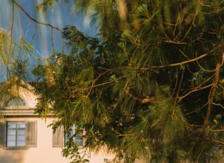 Suburban Cadillac Ann Arbor: Discover Luxury Deals You Can’t Miss