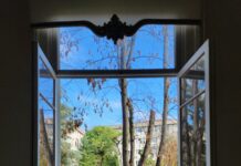 Suburban Lawn And Garden Martin City: Secrets To A Stunning Yard